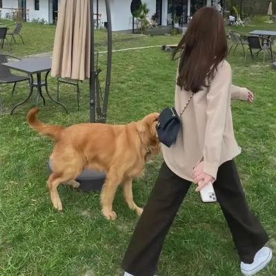 露西亚之后